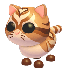 Gattolatte
