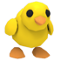 Pintinho