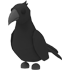 Corvo