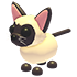 Gato Siamês